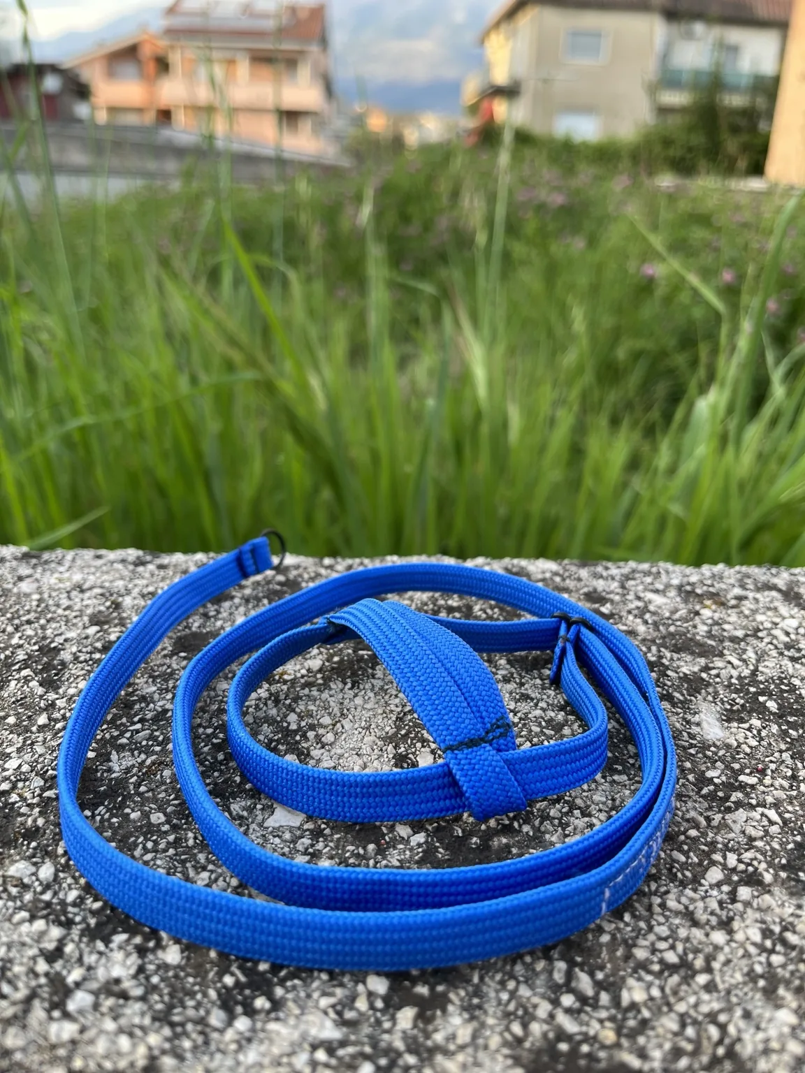 Pettorina blu