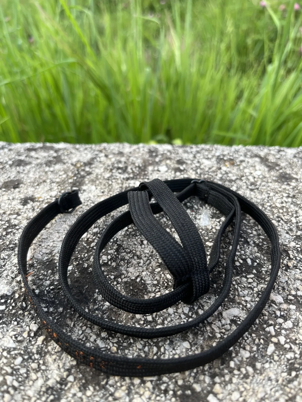 Pettorina nera