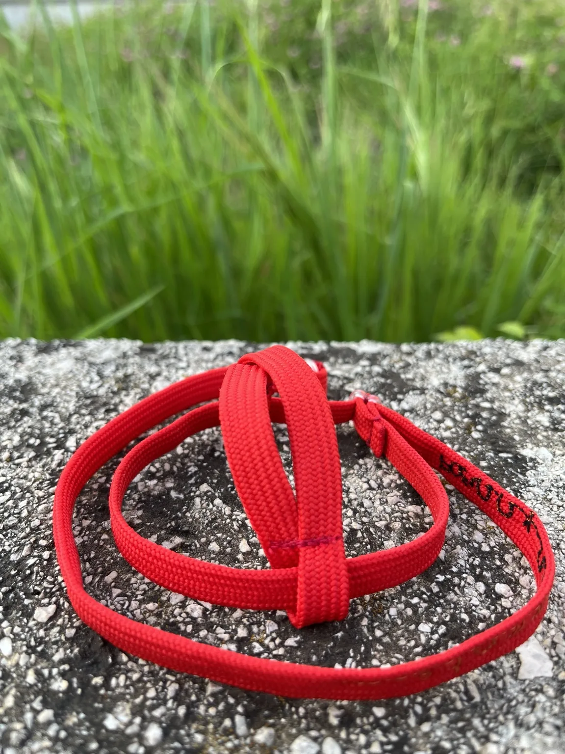 Pettorina rossa